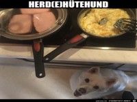 Htehund
