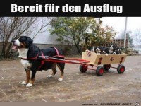 Fertig f�r den Ausflug