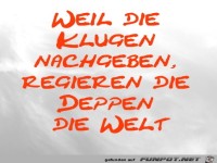 Weil die Klugen nachgeben