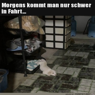 Aller-Morgen-ist-schwer.jpg von Hira