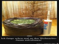Ich fang schon mal an