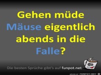 Müde Mäuse