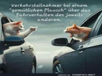 Gespr�ch unter Autofahrern