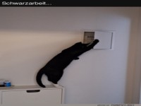 Katze entdeckt heimlichen Schaltkasten