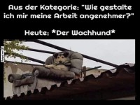 Der bequeme Wachhund