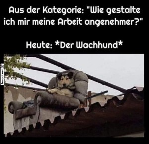 Der-bequeme-Wachhund.jpg auf www.funpot.net