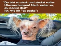 Lustige Perspektive auf Ermutigung