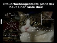 Wenn Steuern die Katze verwirren!