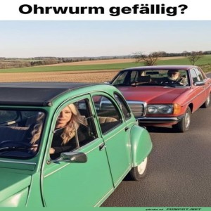 fun-Bild: Oldtimer-Wettkampf: Duett auf der Landstraße