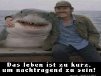 Wenn Menschen und Haie Freunde sind