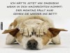 weiter
