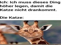 Wenn Katzen zu Giraffen werden