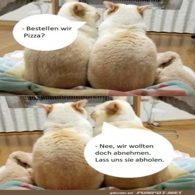 Wir-wollten-doch-abnehmen.jpg von Gabriel