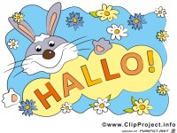  hallo