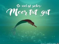 Meer ist gut