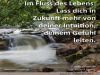 Im Fluss des Lebens