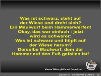 Was ist schwarz, steht auf der Wiese und dreht sich?