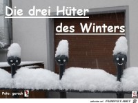 die drei h�ter des winters