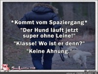 Der Hund laeuft ohne Leine