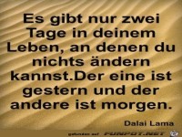 Nur zwei Tage im Leben