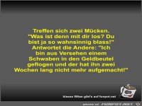 Treffen sich zwei M�cken