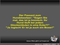 Der Passant zum Hundebesitzer