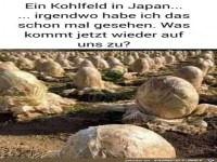 Komischer Kohl