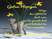 guten Morgen