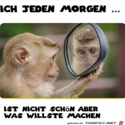 Jeden-Morgen-dasselbe.jpg von Pina