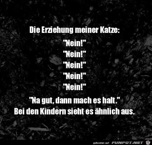 Katzen-Erziehung.jpg auf www.funpot.net
