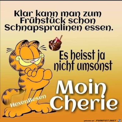Moin-Cherie.jpg von Runa