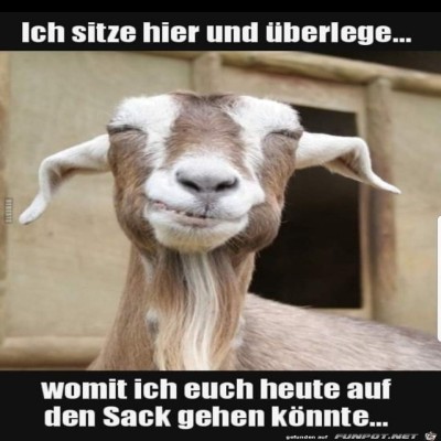 Ich-sitze-hier.jpg von Keule56