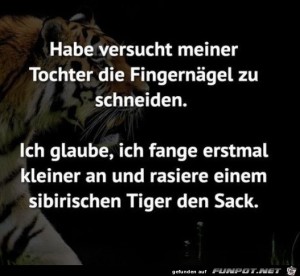 fun-Bild: Könnte einfacher sein