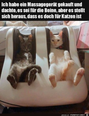 Ist-wohl-fr-die-Katzen.jpg auf www.funpot.net