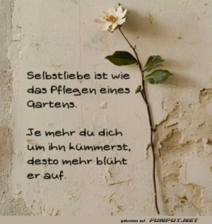 Selbstliebe.jpg auf www.funpot.net