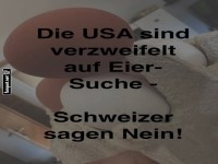 Eier-Krise: USA trifft auf Widerstand