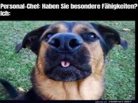 Besondere Fhigkeiten des Vierbeiners