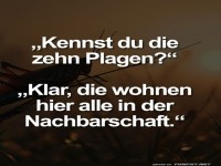 Wenn Plagen zur Nachbarschaft ziehen