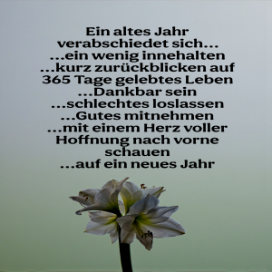 ein-altes-jahr.png von Fabioma