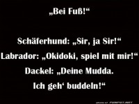 Hundebefehle verstehen 101