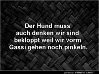 Der Hund und unsere seltsamen Rituale