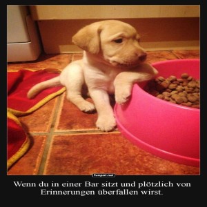 Der-philosophische-Welpe-an-der-Futternapf-Theke.jpg von Lennox44