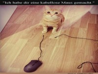 Kabelsalat � la Katze