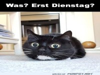 Was? Erst Dienstag?