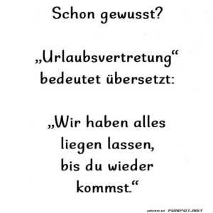 Urlaubsvertretung:-Wahre-Bedeutung-enthüllt.jpg von Josie-96