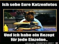 Alf