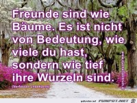 Freunde sind wie Baeume