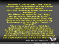 Man�ver in der Schweiz
