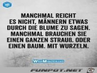 manchmal reicht es nicht