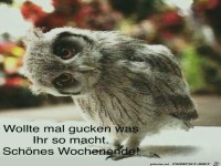 Sch�nes WE